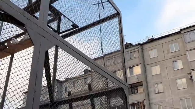 ТАДЖИКСКИЕ ГОЛУБИ ЛАЛАКИ - приучаю к улице. смотреть онлайн