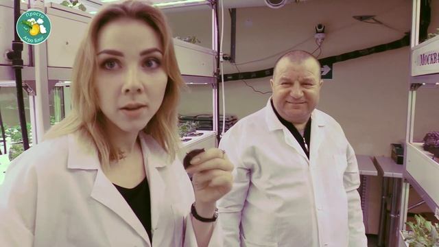 Как растет микрозелень. Просто АгроБлог