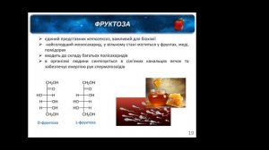 Моно-, ди-, оліго- та полісахариди як представники біомолекул. Семінар, маг. Олена Волошина