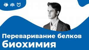 Понятие о биологической ценности белков. Переваривание белков. | На биохимическом