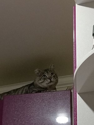 Ходим по зб