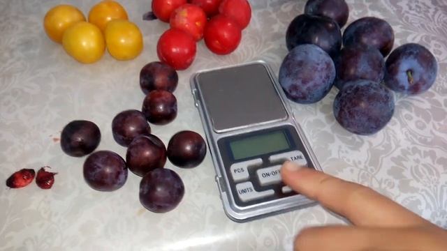 СВГ (сливово вишневий гібрид) Мейнор смотреть онлайн