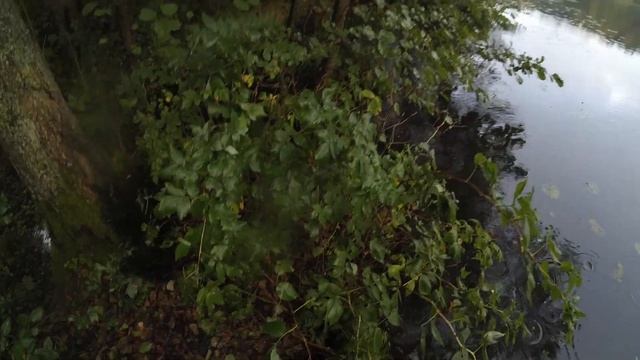 Сеть и Окунь смотреть онлайн