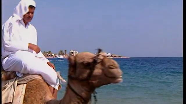 Красное Море + Южный Синай смотреть онлайн