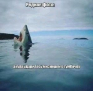 объявление