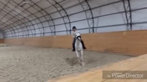 Тренировка в конно-спортивном клубе "Пегас"