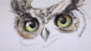 Акриловые краски по ткани. Живопись на футболке "Сова".