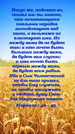 Стихи из Библии.  Кто больший… (Марка 10:42–45) #Словонадежды #Библия #Библейскиестихи #Bibleverses