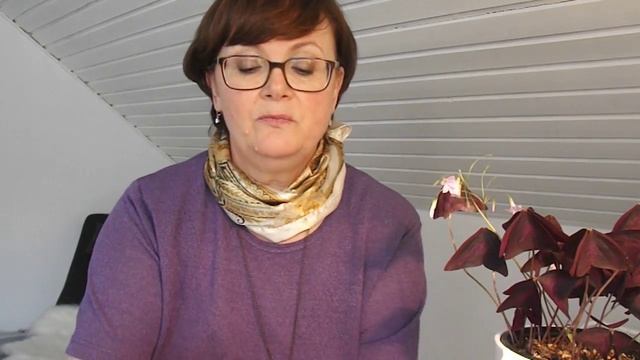 все на дно - жемчуг и Перламутр смотреть онлайн