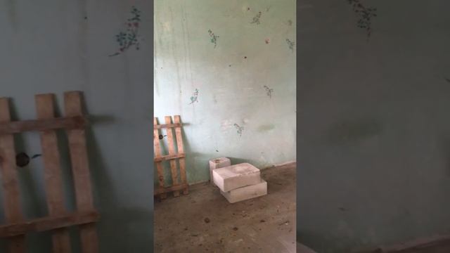 55кв.м. ул.Богдановича смотреть онлайн