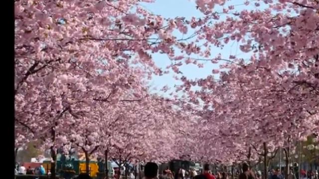 КРАСИВАЯ ПЕСНЯ ЮКАРИ ИТО