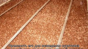 Курятник своими руками на 20 кур (зимний)