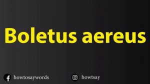 How To Pronounce Boletus aereus