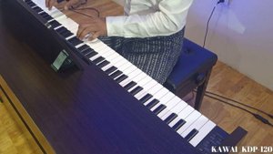 KAWAI KDP-120