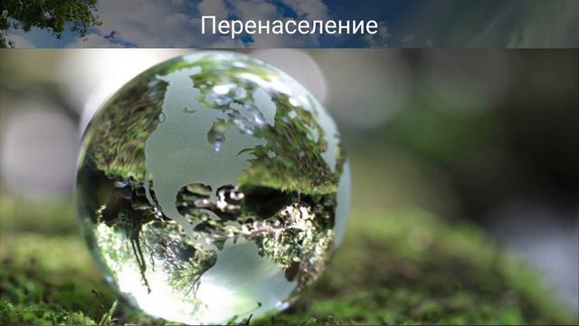 Эпизод презентации проекта ЭНЕБРА 