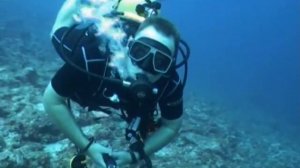 Maldives  МАЛЬДИВЫ  Видеоклип