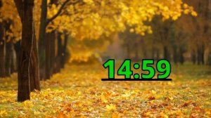 ? 30 minute timer Autumn Fall with relaxation music 4K  - Timers Vibe