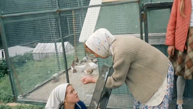 Вот тебе на платье и на мороженое смотреть онлайн