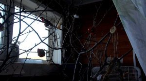 Утро начинается не с кофе