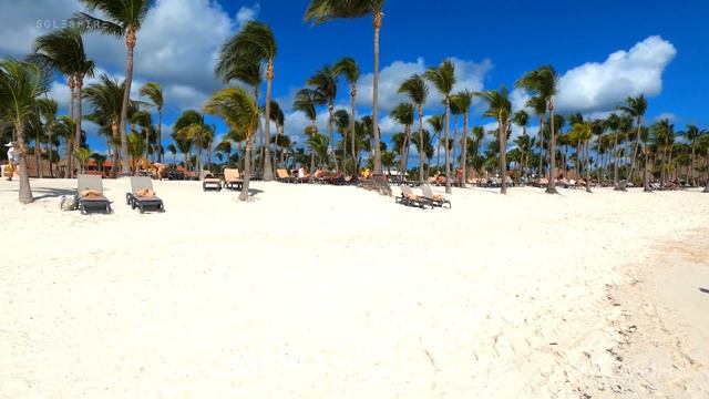 Tropical Beach Walk | Ocean Waves | Resort Tour | Barcelo Maya Riviera Hotels, Mexico 🇲🇽 | 4K Trave смотреть онлайн
