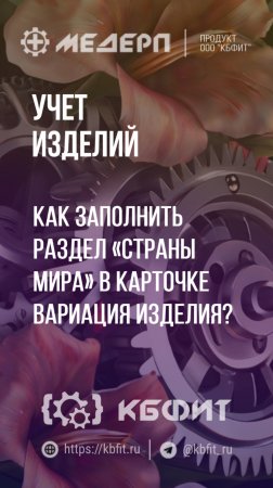 КБФИТ: МЕДЕРП. Учет изделий: Как заполнить раздел «Страны мира» в карточке вариация изделия?