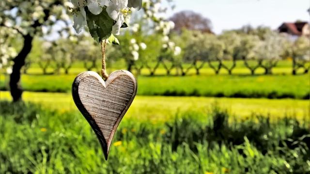 Ничего не получишь! И алименты я платить не собираюсь! — сказал муж беременной жене, когда она... смотреть онлайн