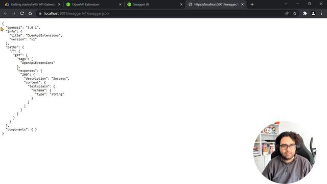 OpenAPI extensions and Swashbuckle
