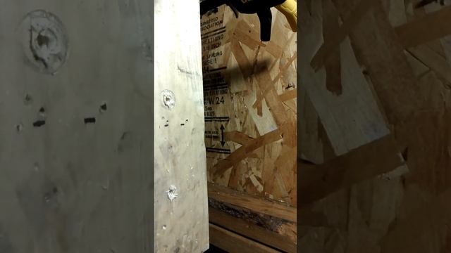 DCF850 VS DCF911 DEWALT impact wrenchDriver test