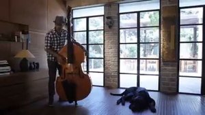 Adam Ben Ezra   AWESOME UPRIGHT BASS SOLO