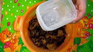 Что сделала с собранными грибами