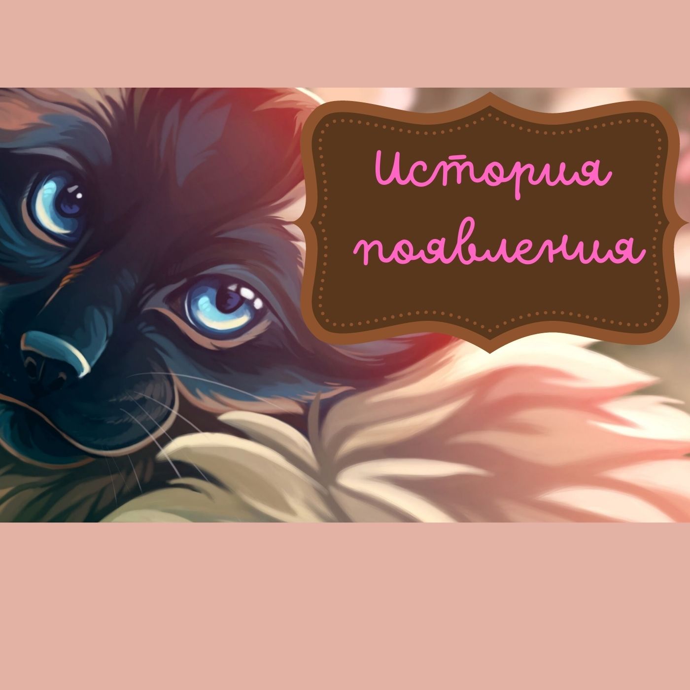 История появления шерстяных друзей