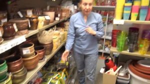 Красивый магазин домашних цветов в королеве / Горшки и Кашпо / комнатные цветы