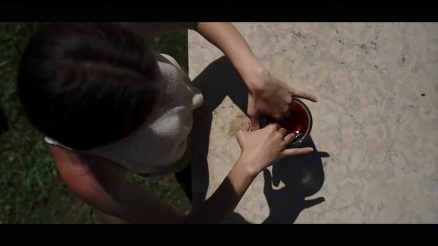 Atelier d'Artista, Taccuini Botanici, Gaia Bellini смотреть онлайн