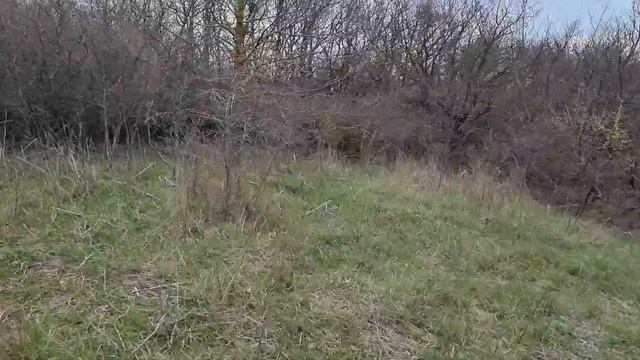 #АНАПА ДАЛЕКО ЗАБРАЛИСЬ) ПОЖАР С СУПСЕХЕ. ЛАСТОЧКИНЫ ГНЕЗДА. ВЕСНА!