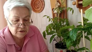 878. Напоминалочка. МагБор для всех.