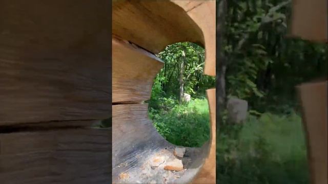 Пулковская экотропа