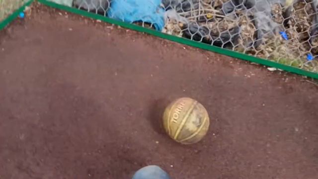 Влог номер три играем в баскетбол на проезжей части / Бэкстейдж к Повар Шоу смотреть онлайн