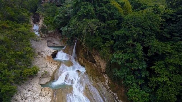 Нежная лечебная музыка здоровья и для успокоения нервной системы "Birds sound" смотреть онлайн