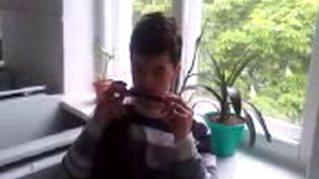 Губная гармошка +бит-бокс смотреть онлайн