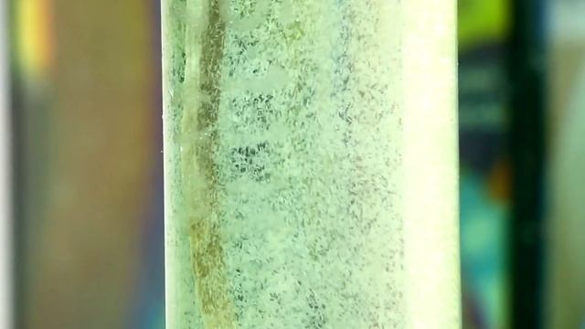 Какие рыбки сейчас живут в нерестовиках? смотреть онлайн