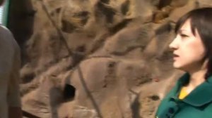 Полтора натуралиста: Носухи.