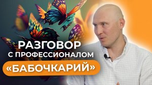 Ферма бабочек или бабочкарий? Как построить успешный бизнес на выведении бабочек?