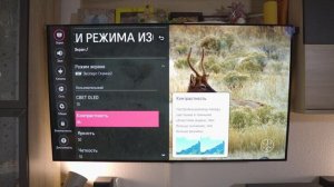 Детальные настройки LG OLED телевизора.