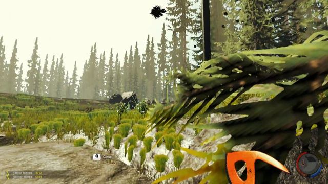 ЖИВУ В ТАЙГЕ THE FOREST смотреть онлайн