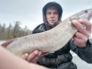 ЛОВЛЯ СУДАКА, ЩУКИ В ОКТЯБРЕ 2023, ПОСТАВИЛ ЭТУ ПРИМАНКУ И СРАЗУ БОНУС!