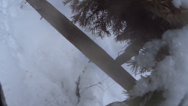 Трофейчик соболь профессор пролов кулемки смотреть онлайн