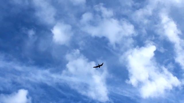 " Две Вечности" композитор Эмилия Пермякова "Two Eternities" music by Emiliya Permiakova смотреть онлайн