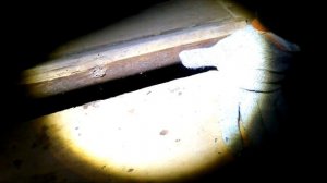 ЗЛЫЕ ПРИЗРАКИ В ДОМЕ ПО СОСЕДСТВУ ВЫХОДЯТ ПО НОЧАМ / EVIL GHOSTS IN THE HOUSE NEXT DOOR