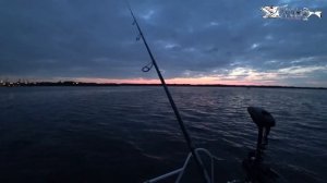 Судак на дропшот. Несговорчивая рыба начала Августа.