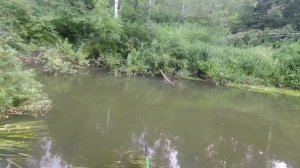 Рыбалка на реке Большая Киргизка.